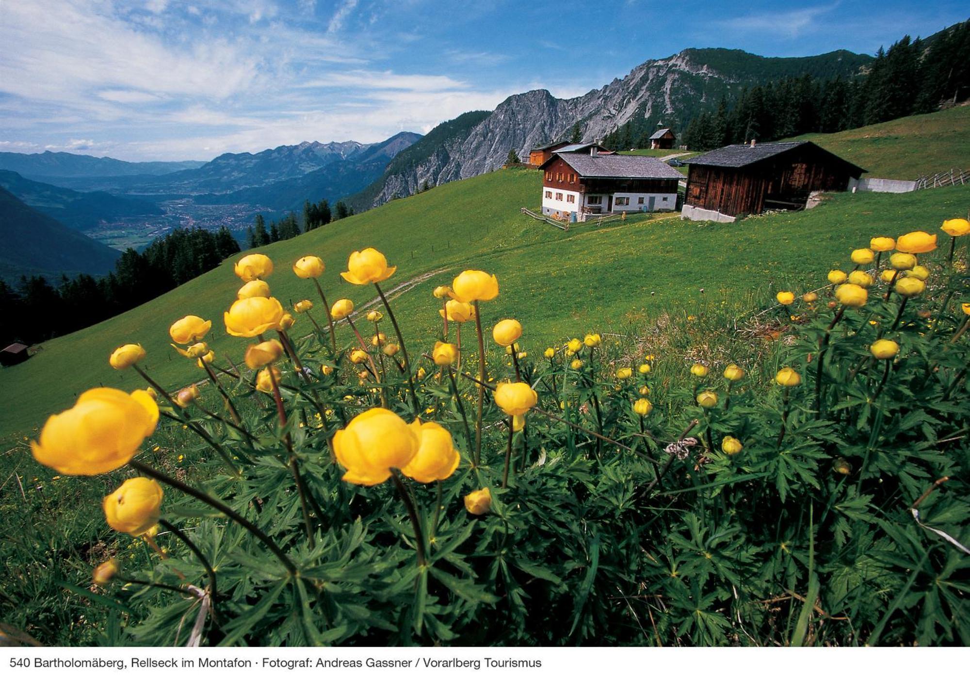 Alpine Lodge Kloesterle Am Arlberg Ruang foto